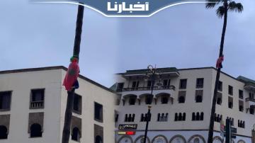 سبايدرمان مغربي يتسلق نخلة احتفالا بتأهل الاسود