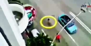 محاولة هروب خروف يوم العيد