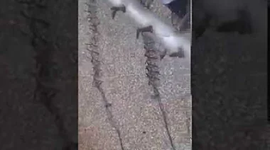 خطير .. هكذا أصبح الكريساج في الطرقات المغربية أثناء السفر في الليل