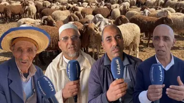 الرجاء في الله.. مواطنون يعبرون عن غضبهم بعد سيطرة "الشناقة" على أسواق الأضاحي: مبقيناش غادي نعيدو