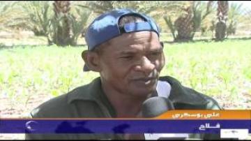 فلاح يعتني بالأرض رغم قساوة الطقس الحار