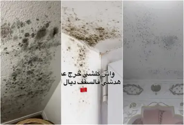 هكذا يمكن لأي مغربي اشترى منزله عبر قرض بنكي أن يستفيد من تعويض عن أضرار "الغمال"