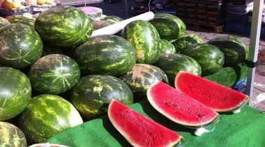 شائعات "البطيخ المريض" تفرمل المبيعات وتكبد الفلاحين خسائر جسيمة رغم وفرة الإنتاج