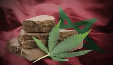 في خطوة مفاجئة.. هولندا تُخطط لاستيراد "الحشيش" بشكل قانوني من المغرب