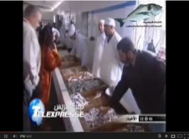تناقص مستوى مخزون السردين بالمغرب