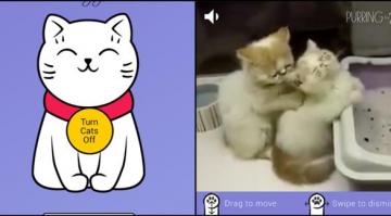 تطبيق لمشاهدة فيديو للقطط أثناء رنين الهاتف