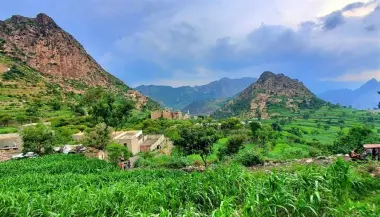 يمني يقتل أبناءه الثلاثة بالرصاص بعد عودته من الغربة