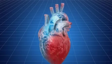 600 نبضة في الدقيقة.. حالة قلبية نادرة تتجاوز الحدود المعروفة