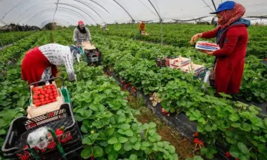 إسبانيا تستقبل آلاف العاملات الموسميات المغربيات بداية من هذا الأسبوع