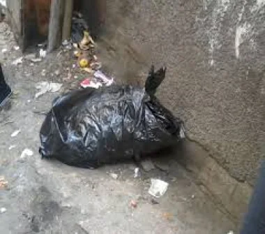 الصورة من الأرشيف