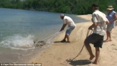 بالفيديو: صياد يضرب تمساحاً حاول سرقة صيده