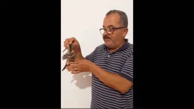 مواطن تونسي يعثر على طائر الأبابيل النادر.. اكتشاف يثير الاهتمام