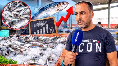 هذه هي الأثمنة الحقيقية للسمك بطنجة والتجار يوضحون الفرق في الجودة