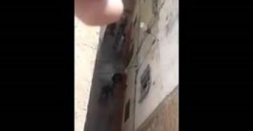 بالفيديو.. "طنجاوي" يرعب الأهالي بـ«الساطور»