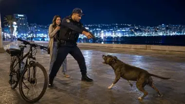 تدخل بطولي لشرطي ينهي هجوم بيتبول على سيدة بشاطئ طنجة