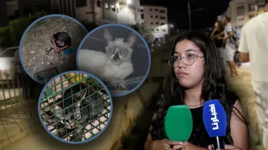 شابة جمعوية تضحي لإنقاذ حياة ثمانية قطط سقطت في واد عميق بطريق عين الشقف بفاس