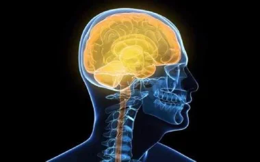 إليك .. 5 أعشاب تمنحك تركيز مثالي وتقوي الذاكرة