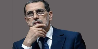 رغم بلوغهم سن التقاعد.. عشرات الموظفين الكبار سيستفيدون من التمديد