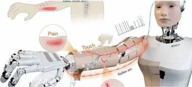 علماء يطورون جلدا ذكيا يمنح الروبوتات الإحساس بالألم واكتشاف الجروح فورا