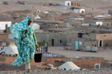 مسؤول بلجيكي يفضح تلاعبات البوليساريو بالمساعدات الغذائية بالحجة والدليل بقلب البرلمان الأوروبي