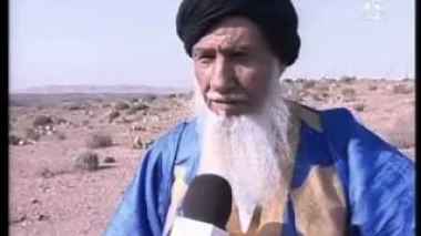 تضرر نبات الصبار بموجة الحرارة بجهة كلميم
