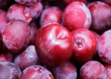 فوائد البرقوق الصحية
