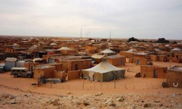 صورة من الأرشيف