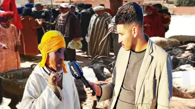 سابقة.. راع بفكيك يحتج مع أغنامه على المسؤولين بعد هجوم الكلاب الضالة عليه ويطالب بتعويض
