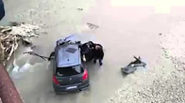 مهاجر مغربي يهرع لانقاذ ايطالي سقطت سيارته في النهر