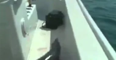 بالفيديو.. سمكة تقفز داخل مركب للصيد