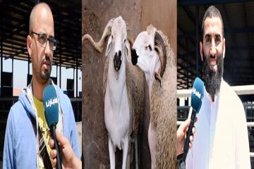 قبيل أسبوع من العيد .. " أخبارنا " ترصد جديد " سوق الأضاحي " و القضية شاعلة (فيديو )