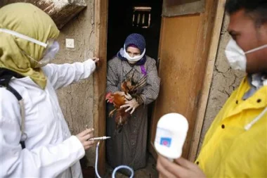 وفاة ثانية بأنفلونزا الطيور في مصر