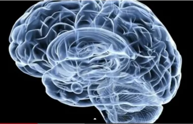 اغرب قضية سرقة فى العالم .. امريكى يسرق "60 دماغ" و يبيعها لمهووس