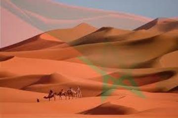 تحليل و إستشراف لقضيتنا الوطنية، المواجهة بدأت!