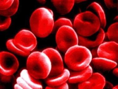 تقنية جديدة لتصنيع أعداد غير متناهية من الكريات الحمراء
