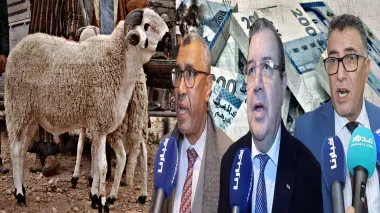 رسميا.. المعارضة تطالب بتشكيل لجنة لتقصي الحقائق حول المليارات التي وزعت على مستوردي أضاحي العيد