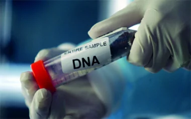 رئيس مقاطعة السويسي يعترف بممارسته الجنس مع شابة بضيعته و يرفض الخضوع لتحليل  DNA
