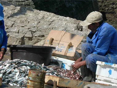 إضراب إنذاري لمراكب الصيد الصناعي بآسفي  
