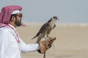 قطر تخرج عن صمتها حول "زيارة" أمراء للبوليساريو وهذا ما قاله سفيرها بالرباط