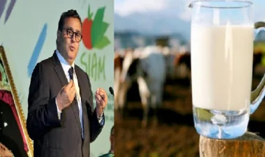 هذه تفاصيل خطة "أخنوش" لمحاربة الغش التجاري في صنع الحليب