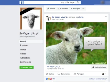 "كن نباتي" شعار أطلقه مغاربة نباتيون لمقاطعة لحوم الأضاحي