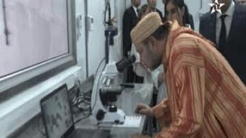 الملك يدشن مزرعة لصغار الصدفيات “أزورا أكواكولتور” بإقليم وادي الذهب