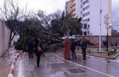 الصورة تعبيرية فقط