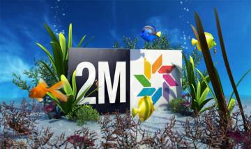 رغم الرفض الشعبي...حكومة "العثماني" تقرر زيادة الدعم المالي الموجه للقناة الثانية