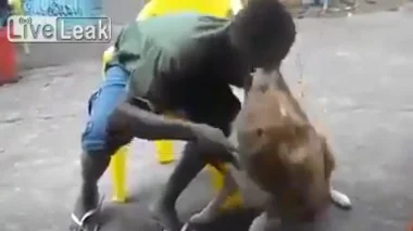 بالفيديو.. كلب يؤدب شاب أراد التصوير معه بطريقة خاصة