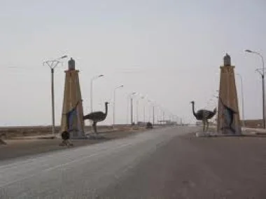 بوجدور: تلكؤ طبيبة بيطرية في أداء الواجب يجرها إلى القضاء