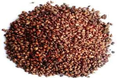 فوائد بذور العنب