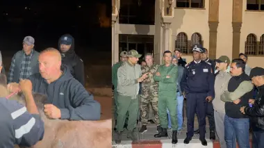 السلطات المحلية بسطات تنظم أكبر حملة لجمع الحمير ومحاربة العربات المجرورة بالدواب