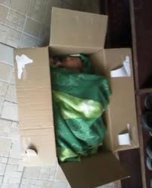 الصورة من الأرشيف