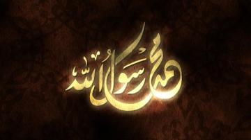 إنسانية الرسول في حروبه